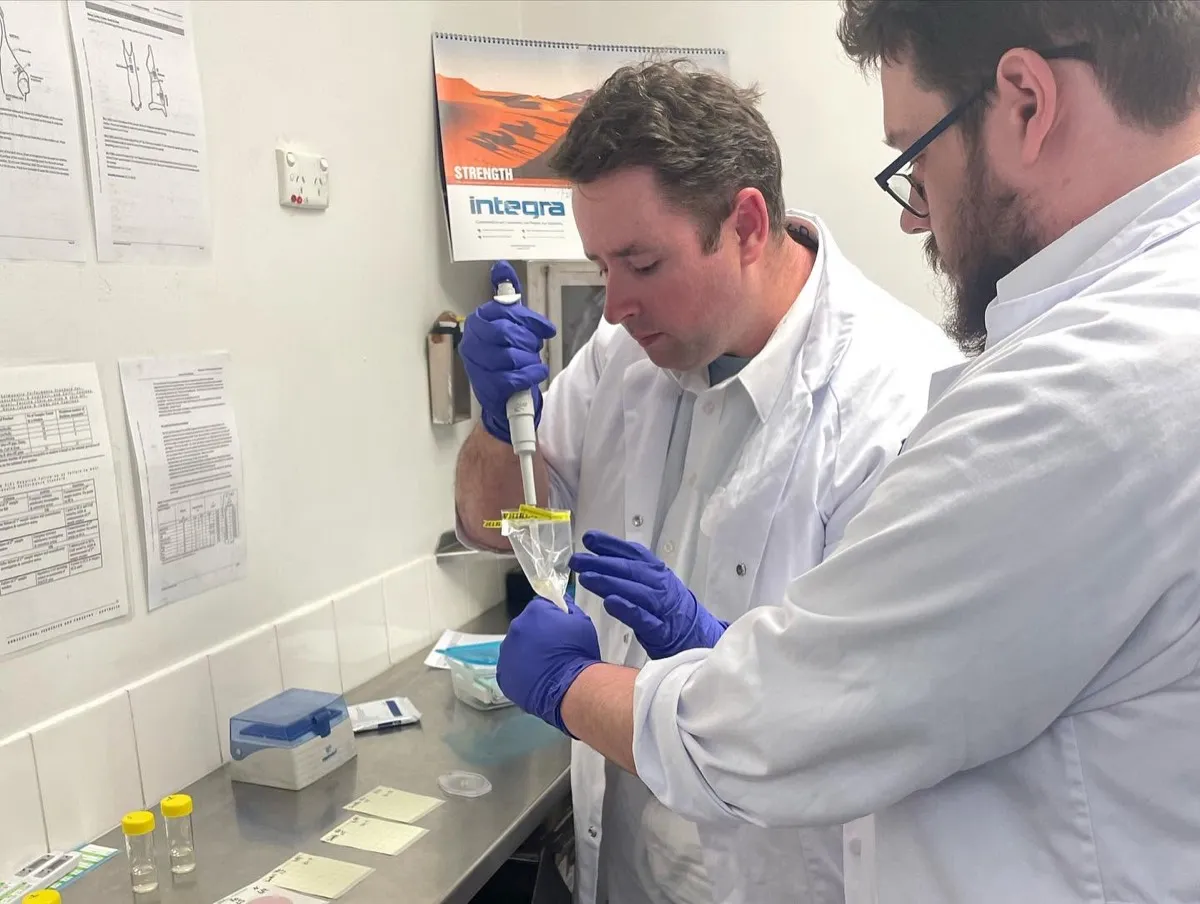 Technician pipetting a sample in a laboratory — Certificate IV in Laboratory Techniques